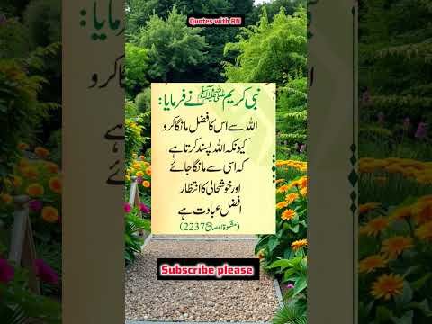 Beautiful Islamic status Islamic status on Muslim, 4k Islamic status  #Islam #allah #ytshort #shorts