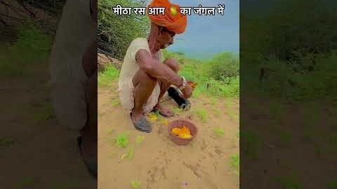 मीठा रस आम 🥭 का जंगल में  #jangal #food #viral #culture #desi #youtubeshorts