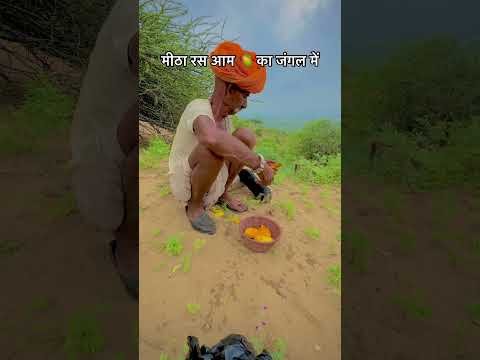 मीठा रस आम 🥭 का जंगल में  #jangal #food #viral #culture #desi #youtubeshorts