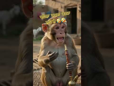 ਕਰਜ਼ਾ  ਲਾਹ ਲੋ|RG BLOG |new punjabi comedy |new punjabi songs |Punjabi funny video #shorts #short #fyp