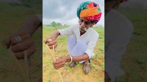 बबूल के पेड़ की देसी मथानी 😍#rajasthan #culture #villagelife #desi #sukoon #shorts