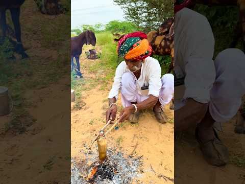 देसी जुगाड़ वाली चाय 😍 #villagelife #desi #culture #rajasthani #viralvideo