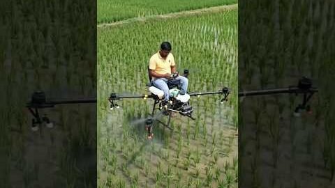 #lifeisbutadream #youtubeshort #farming #desi #desi  #kheti