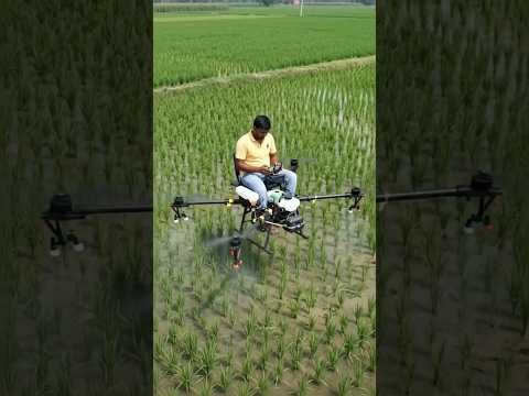 #lifeisbutadream #youtubeshort #farming #desi #desi  #kheti