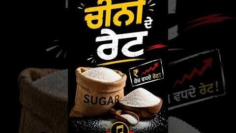 🎵 Cheeni De Rate | Nawa Punjabi Funny Song 2026 | Sugar Price Comedy Song 😂 | TuneKalesh #shorts