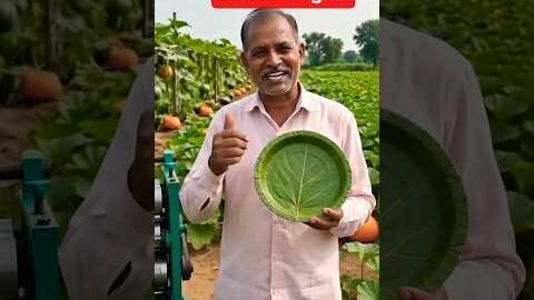 Kaddu ke Patto Se plate Banane Ka Desi Jugaad?😱|#shorts #desai #ytshorts