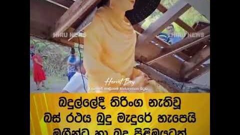 ෴බුදුරජාණන් වහන්සේ෴. #lordbuddha #dhamma #video #viral