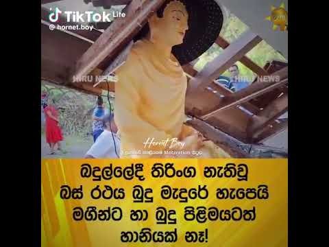 ෴බුදුරජාණන් වහන්සේ෴. #lordbuddha #dhamma #video #viral