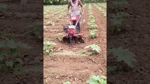 Amazing  Dise Jugaad by Farming #Desi #Jugaad #Jugad #Farming#Kheti #Khetibadi #Agriculture #easy