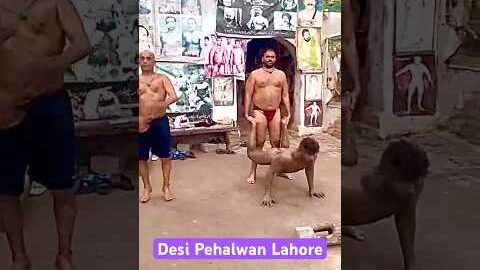 #desi#pehalwan#shortvideo#viralvideo