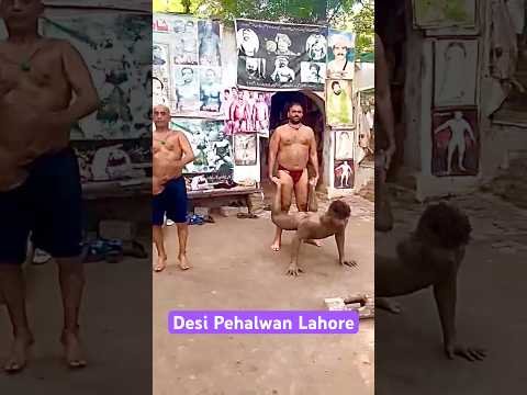 #desi#pehalwan#shortvideo#viralvideo