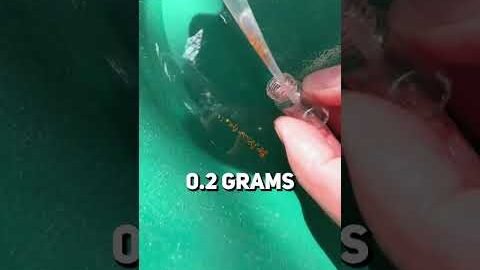How much can you make gold panning?