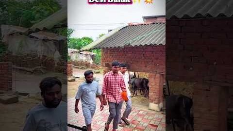 Desi Balak ✨💥 #harshpushptode #bappukisanhai #khetibadi #funny #comedy #desi #village