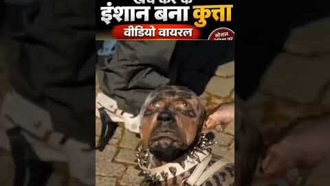 😱 ₹220 करोड़ खर्च करके बना इंसान से कुत्ता! 🐶#Viral​ #Trending​ #Amazing​ #Dog​ #Incredible​