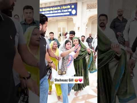 Shehnaaz Gill | New Punjabi Songs #shehnaazgill #punjabisong #shorts #viral #trending