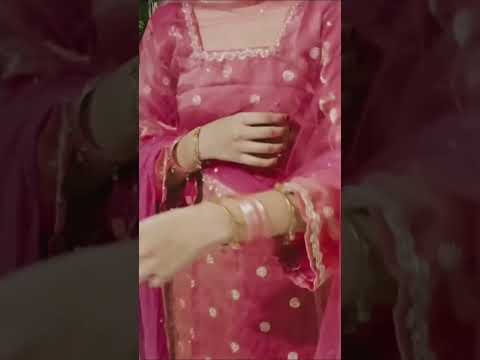 Expert Jatt / Nawab / Latest Punjabi Songs 2026 / New Punjabi Song 2026 / #newpunjabisong