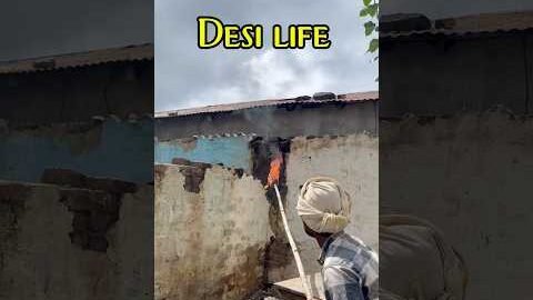 Desi life |honey bee rescue|#minivlog #honeybee #desi