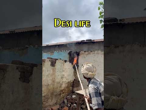 Desi life |honey bee rescue|#minivlog #honeybee #desi