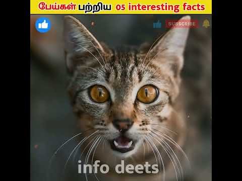 top 05 ghost’s interesting facts.. ☠️👻😮😳 #shorts #viral #viralshorts #shortsfeed