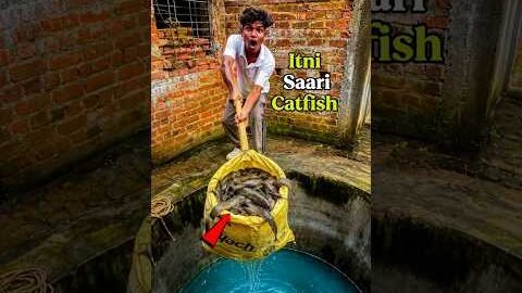Desi bore se kuwe me pakdi Badi Machli 😱🐟mini vloge #minivlog #fishing #shorts #youtube