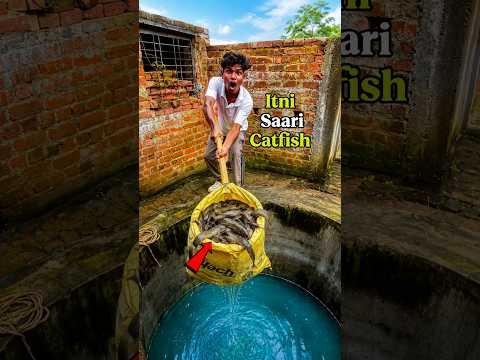 Desi bore se kuwe me pakdi Badi Machli 😱🐟mini vloge #minivlog #fishing #shorts #youtube