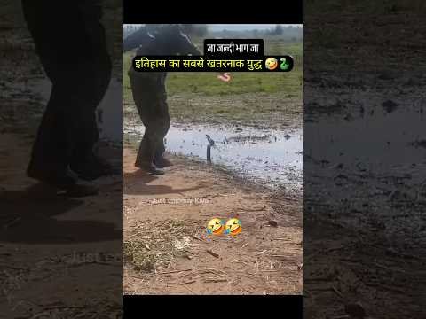 दोनों योद्धा पुनः युद्ध को आ गए 😂⚔️ #shorts
