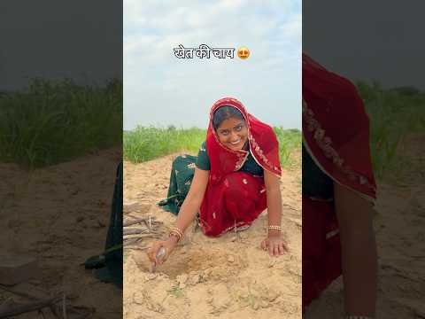 खेत में चाय 😍 #chai #khet #desi #life #villagelife #sukoon #rajasthan #shorts #youtubeshorts #reel