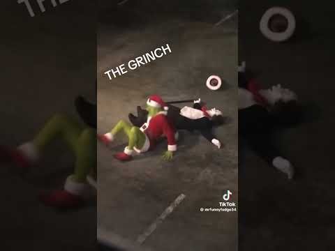 POV: YOU SEE CAT IN THE HAT VS THE GRINCH #minsyshygull #thegrinch #catinthehat #tuktok #misspiggy