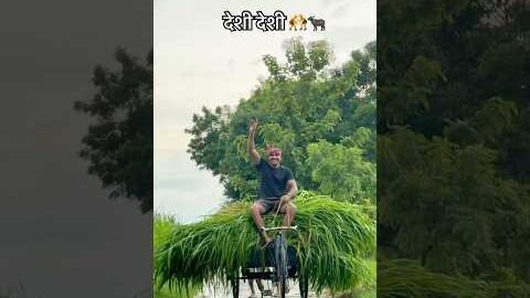 गांव का देशी छोरा…🤼🐃#shorts #shortvideo #youtubeshorts #kisan #desi #fitness #viralreels #running