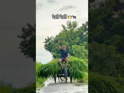 गांव का देशी छोरा…🤼🐃#shorts #shortvideo #youtubeshorts #kisan #desi #fitness #viralreels #running