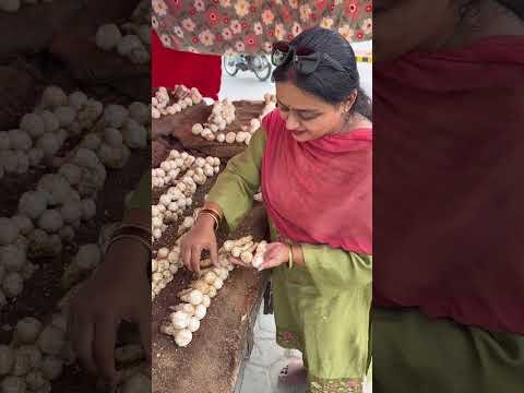 Desi mushroom, khumbi #mushroom #gardening #garden #plants #nature #organic