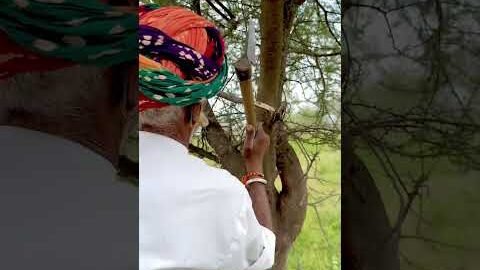 देसी जुगाड़ का चम्मच 🥄 #villagelife #rajsthani #desi #ganvkilifestyle #youtubeshorts #shortvideo