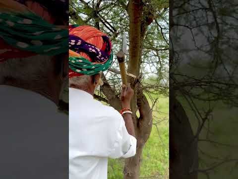 देसी जुगाड़ का चम्मच 🥄 #villagelife #rajsthani #desi #ganvkilifestyle #youtubeshorts #shortvideo