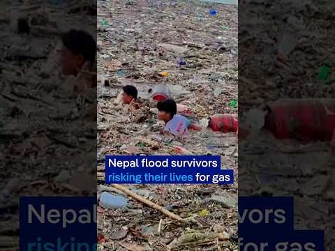 Why are Nepal’s flood survivors risking their lives for gas cylinders? | DW News