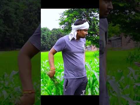 anshika Umesh Nishad comedy #shortvideo #ytshorts #youtubeshorts #youtube #desi video #comedy #short