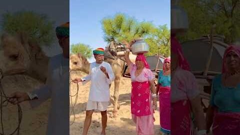 राजस्थान की दिनचर्या 😍 #rajasthan #routine #work #village #work #desi #rajasthanilife