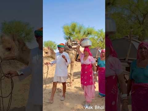 राजस्थान की दिनचर्या 😍 #rajasthan #routine #work #village #work #desi #rajasthanilife