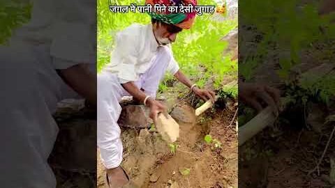 जंगल में पानी पिने का देसी जुगाड़ 🥰#desi #village #culture #youtubeshorts #short #ganv
