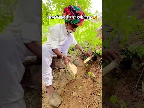 जंगल में पानी पिने का देसी जुगाड़ 🥰#desi #village #culture #youtubeshorts #short #ganv