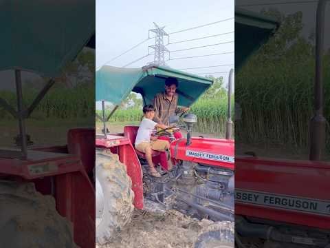 Desi🥰 #shortvideo #desiviilagelifetstyle #villagelife #desilife #viralvideo #reels #shorts