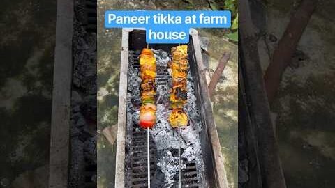 Paneer tikka at farm house | #farmhouse #paneertikka #masti #fun #family #desi #paneer #food #snacks