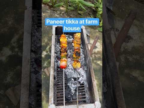 Paneer tikka at farm house | #farmhouse #paneertikka #masti #fun #family #desi #paneer #food #snacks