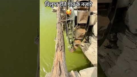 विलुप्त होते गांव के नजारे 🥰 #ganv #villagelifestyle #viral #youtubeshorts #desi #water