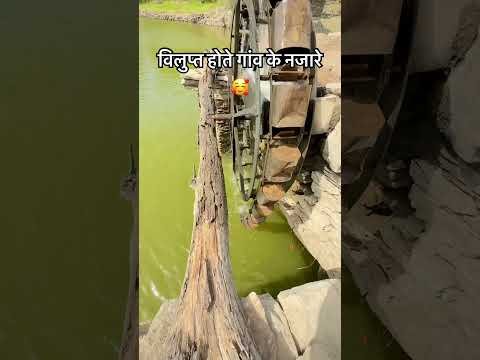 विलुप्त होते गांव के नजारे 🥰 #ganv #villagelifestyle #viral #youtubeshorts #desi #water