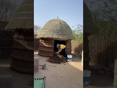 गाँव का सुख 😍 #gaon #sukoon #rajasthan #youtubeshorts #life #culture #desi #villagelife