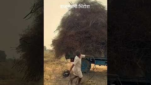เคฆเฅเคธเฅ เคเคพเคจเคพ เคเคฐ เคชเฅเคฐเคพเคจเฅ เคชเคฐเคเคชเคฐเคพ ๐ #desi #rajasthan #food #khana #old #parmpara #shorts #villagelife #reel