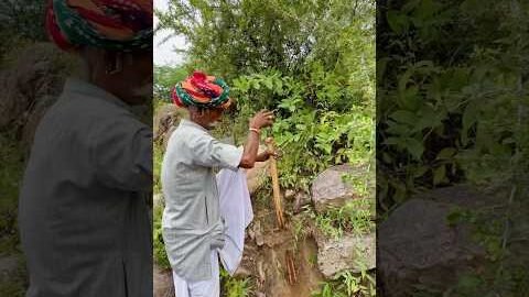 पानी पीने का देसी जुगाड़ 😍 #village #life #desi #rajasthani #culture #viralvideo #subscribe