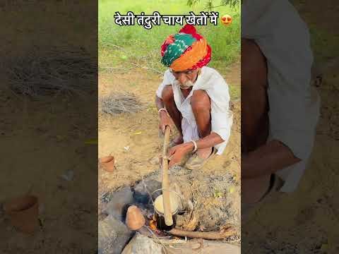 देसी तंदुरी चाय खेतों में 😍 #rajasthan #desi #culture #food #video #sukoon