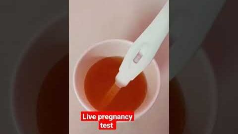 Live pregnancy test #viral #youtubeshorts