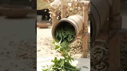 Bamboo Pipes Se Bana Neem Patte Chhatne Ka Amazing Desi Jugaad! 😱🌿